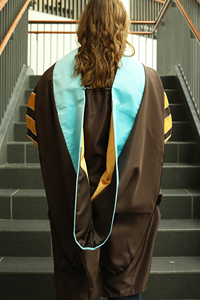 Doctorate Hood